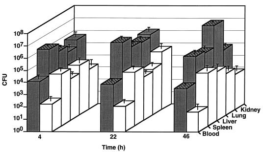 FIG. 1