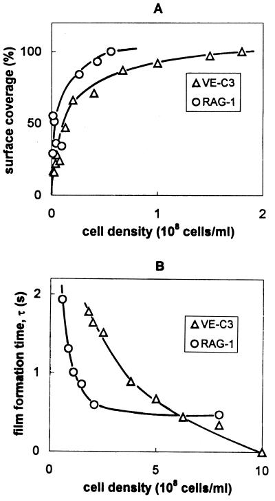 FIG. 6