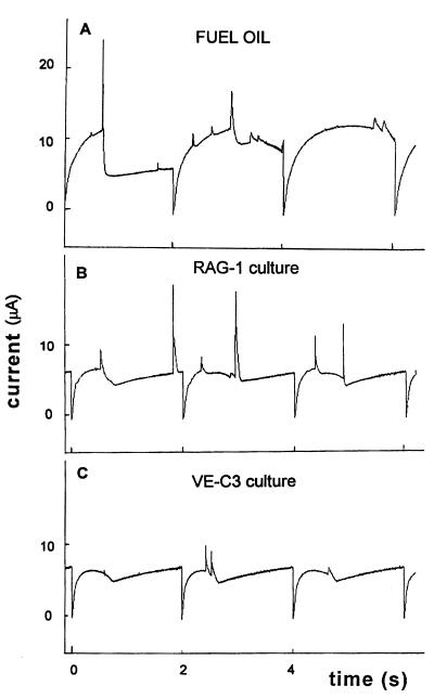 FIG. 7