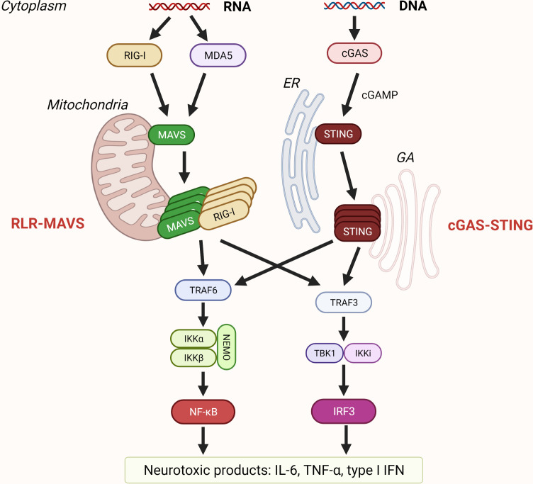 Figure 3