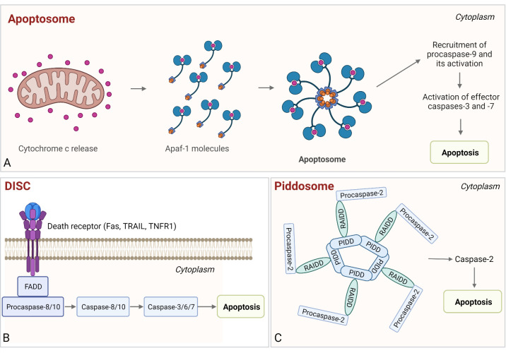 Figure 6