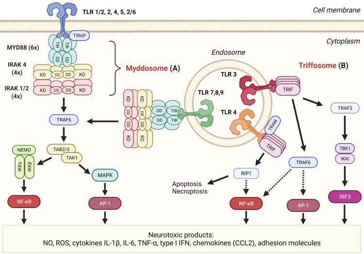 Figure 2