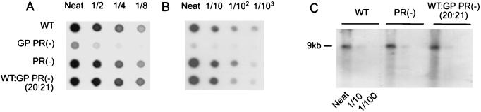 FIG. 5