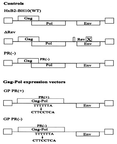 FIG. 1