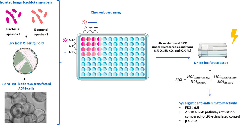 Figure 1