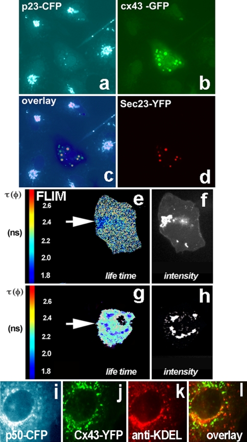 Fig. 3