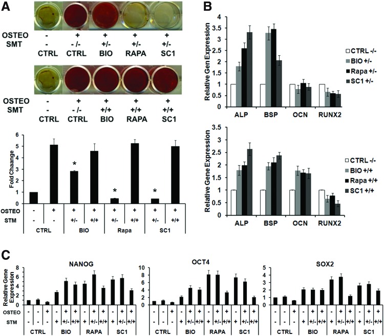 FIG. 4.