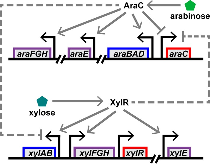 FIG 1