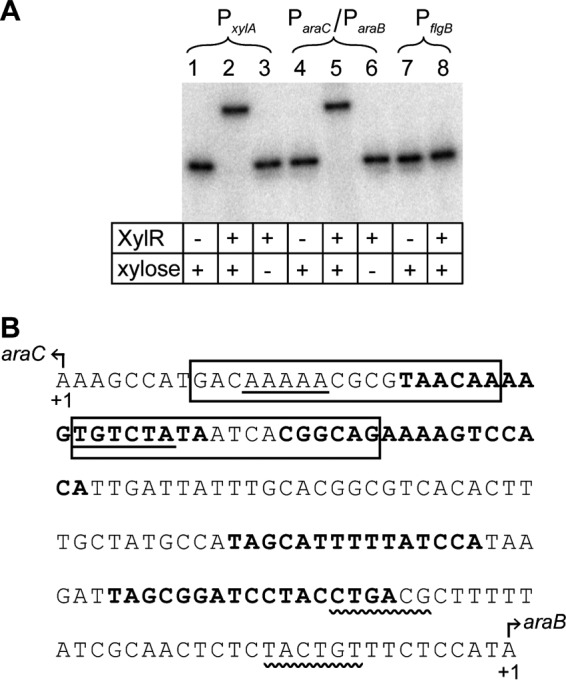 FIG 6