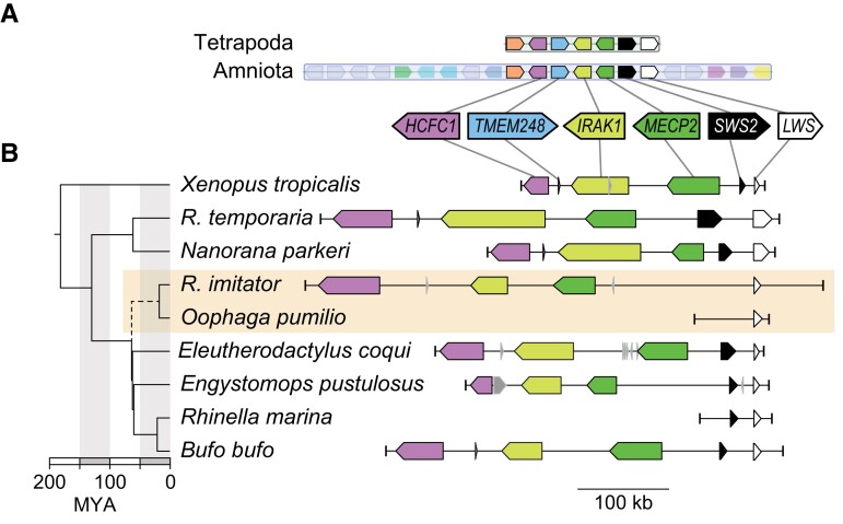 
Fig. 2.