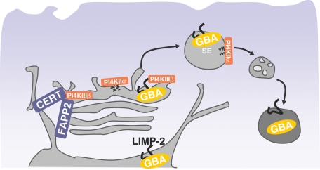 FIGURE 6: