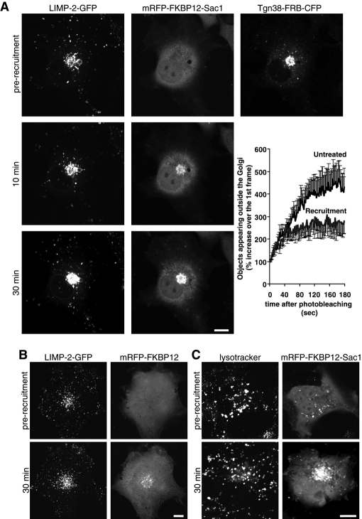 FIGURE 1: