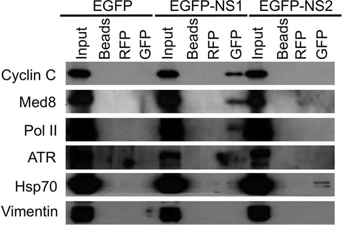 Fig 5