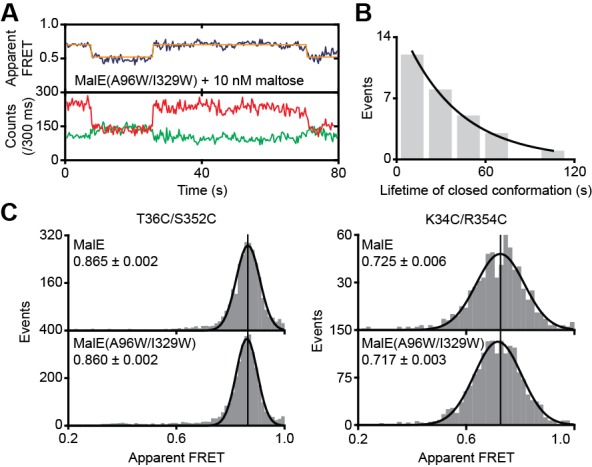 Figure 6—figure supplement 3.