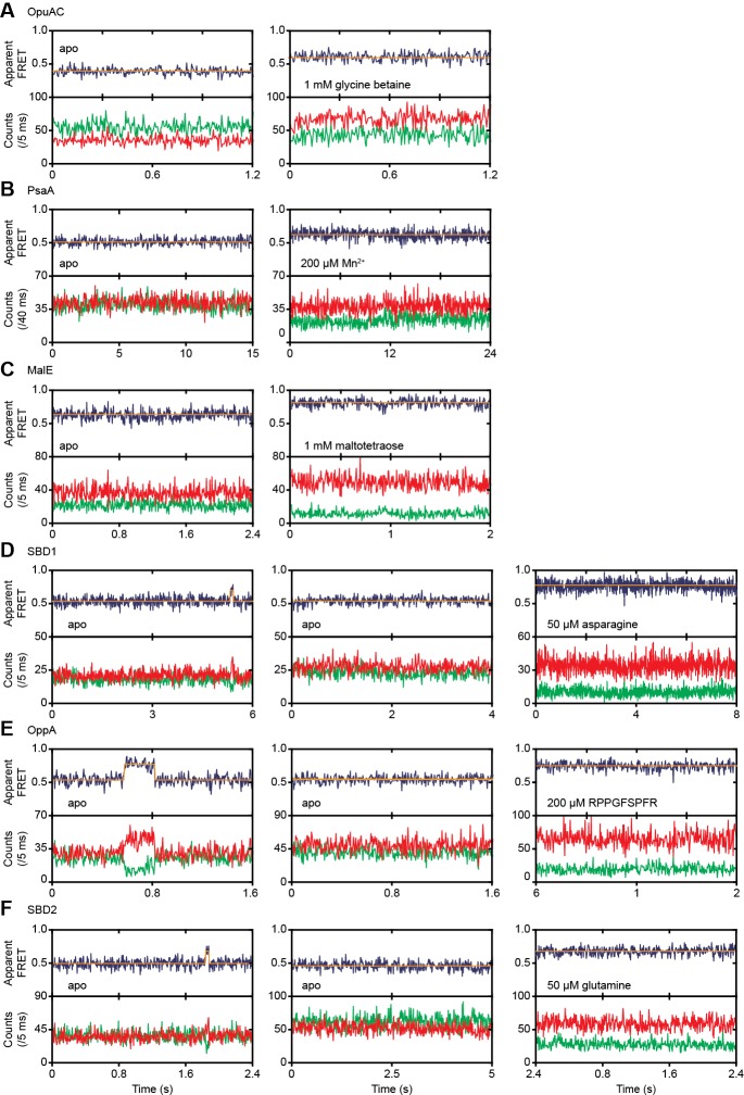 Figure 3—figure supplement 1.