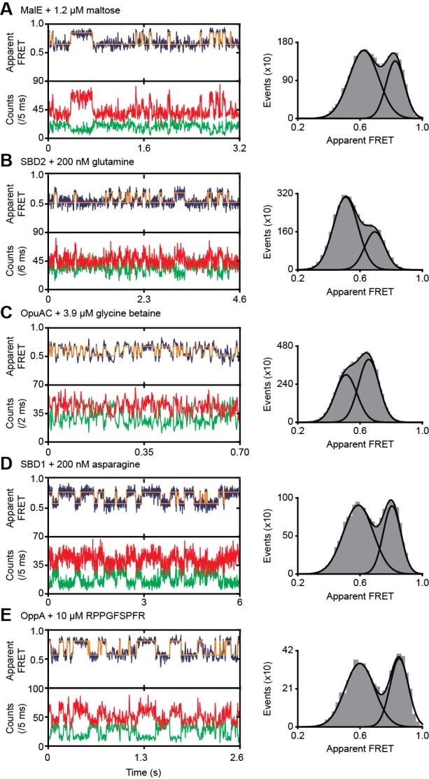 Figure 2—figure supplement 1.