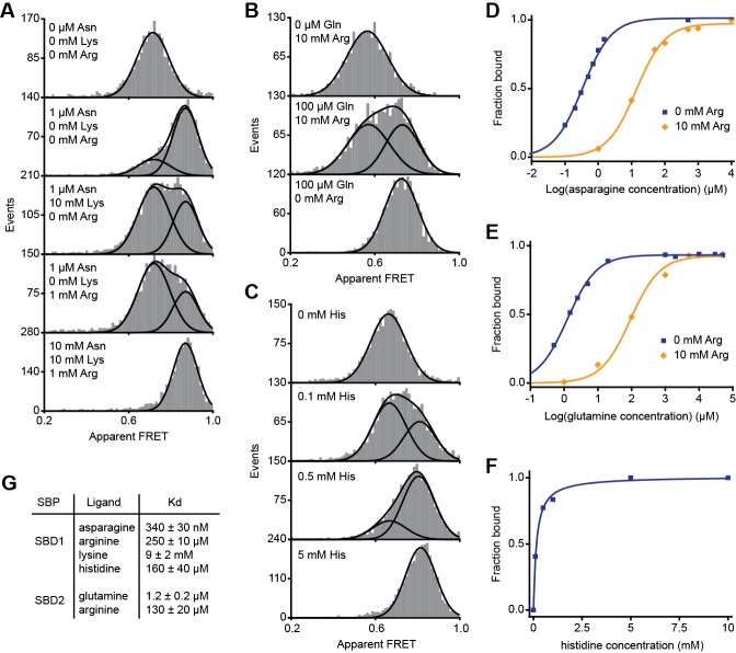 Figure 4—figure supplement 2.