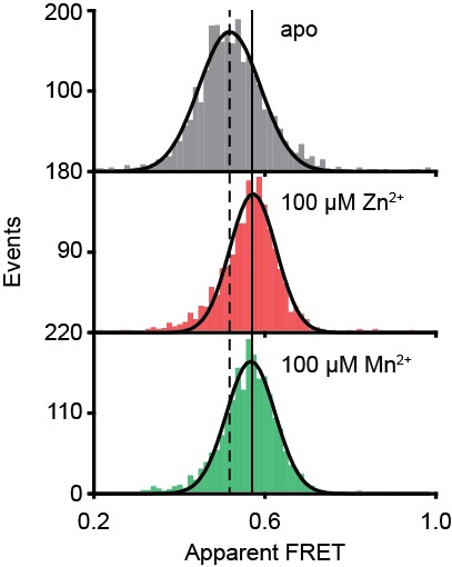 Figure 4—figure supplement 3.