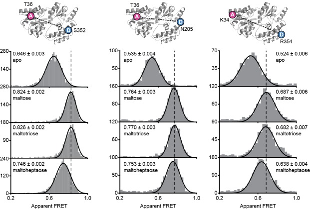 Figure 2—figure supplement 4.