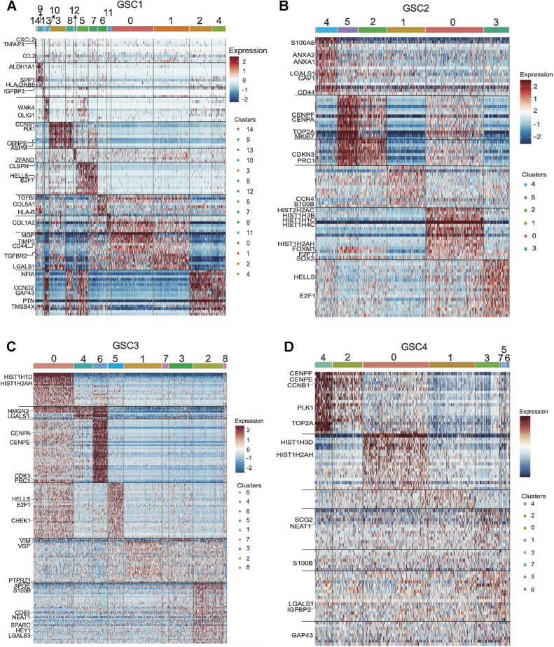 Figure 3. Single-cell characterization of the transcriptomic profile of GSCs displays the heterogeneity inherent to glioblastoma. A–D, Characterization heatmaps showing cluster-specific gene expression profiles across four patient-derived GSCs. The characterization was achieved by using integrated single-cell data across conditions per GSC and identifying cluster-specific genes/markers.