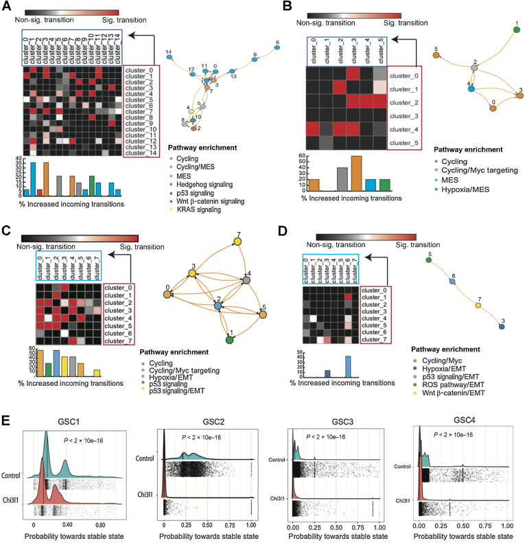 Figure 5. Chi3l1 increases transition towards mesenchymal GSC states and decreases transition towards stable states. A–D, Matrices of pairwise cluster-to-cluster transition probability changes. Here is only shown cluster-to-cluster transitions that experience an increase in transition probability after exposure of GSCs to Chi3l1. Arrow, transition order from an initial cluster/state (crimson) to final state (turquoise). The increase in transition that was statistically significant is colored in the red/pink scale, while the nonsignificant ones are in the black/gray scale (P < 0.05, Mann–Whitney U Test). In addition, road map visualization of significant cluster-to-cluster increase in transitions following Chi3l1 treatment as a nodes and edges network. E, Plot shows significantly decreased probabilities towards terminal states following Chi3l1 exposure across all GSCs.