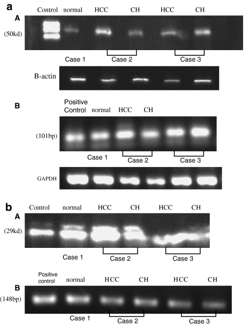 FIG. 1.