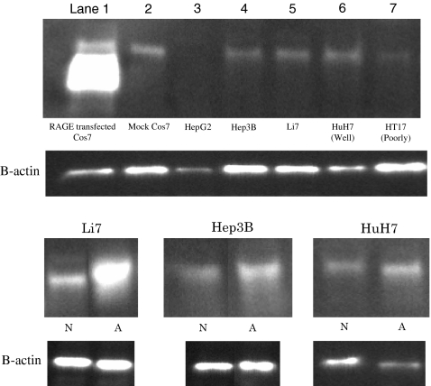 FIG. 4.