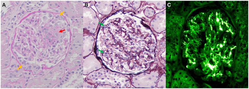 Figure 1.