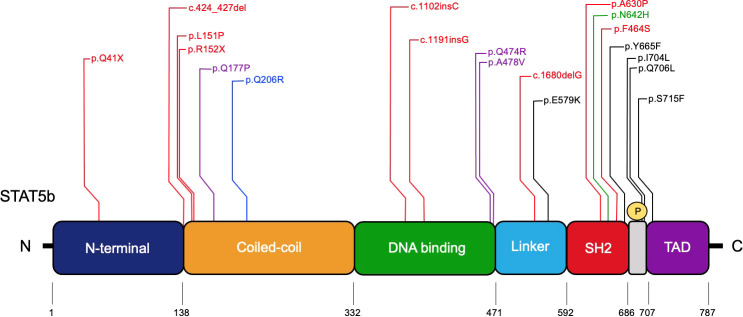 Figure 4