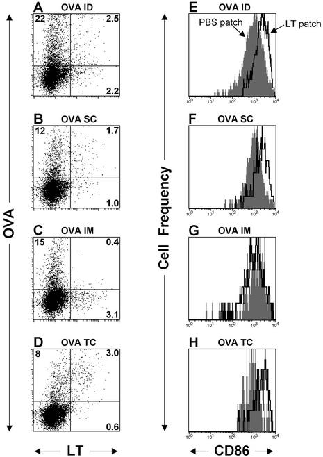 FIG. 7.