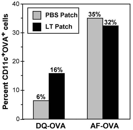 FIG. 8.