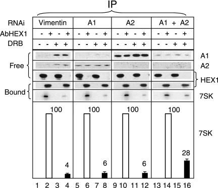 FIG. 8.