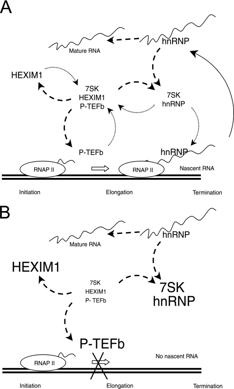 FIG. 9.