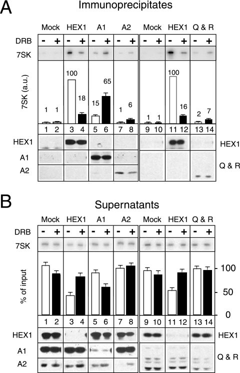 FIG. 7.