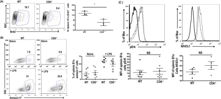 FIGURE 7.