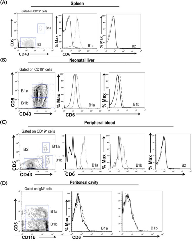 FIGURE 4.