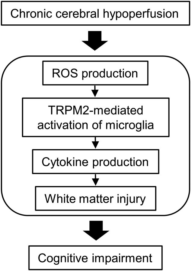 Figure 9.