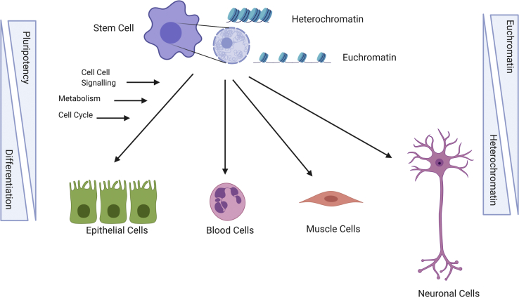 Figure 1