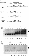 FIG. 7.