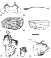 Figure 2.