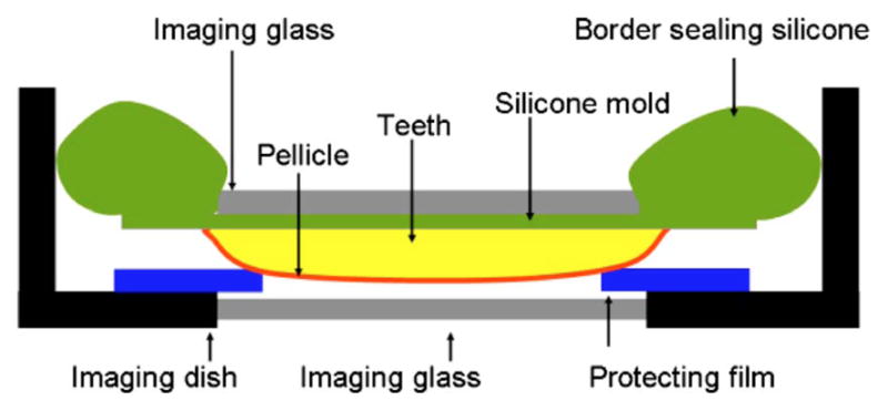 Fig. 3