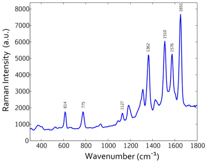 Figure 7