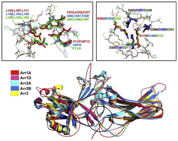 Figure 3.1