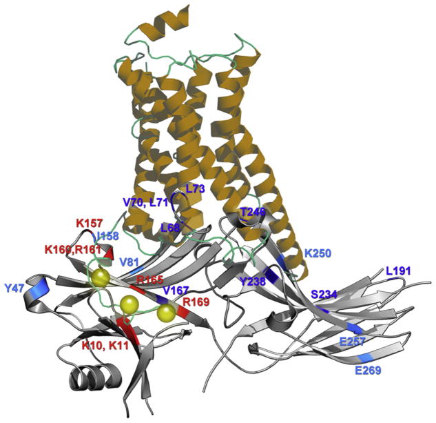 Figure 3.2