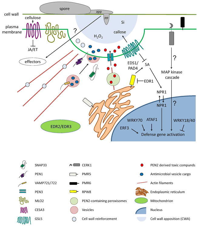 Figure 6.