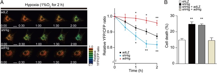 Fig. 4.