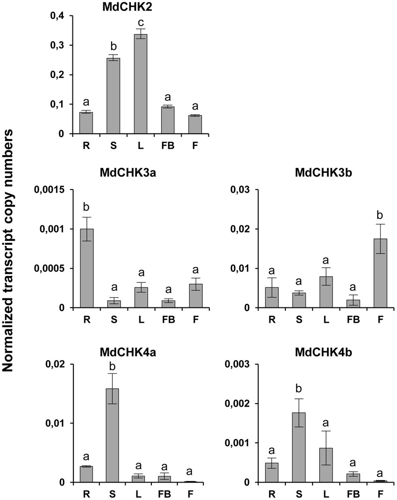 FIGURE 4