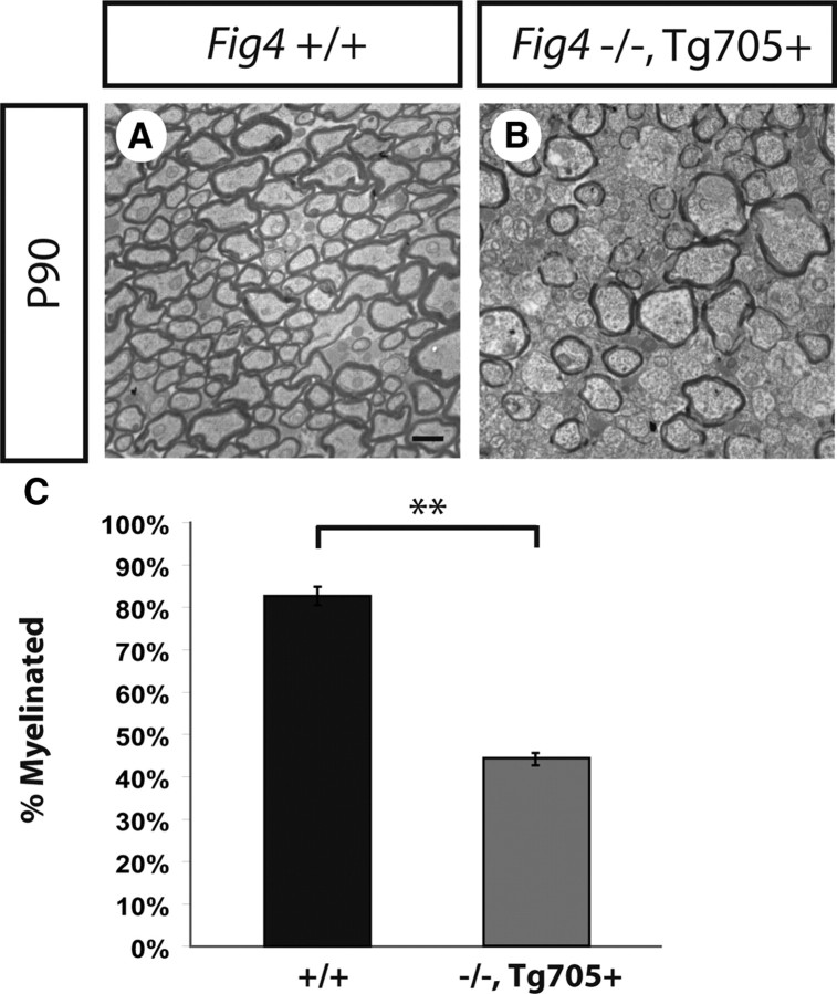 Figure 12.