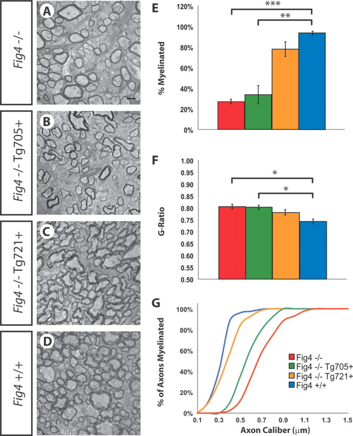 Figure 11.