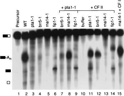 FIG. 7